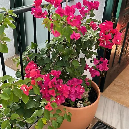 Beautiful Duplex With A Patio Holiday home *